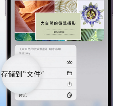 墨脱apple维修中心分享iPhone文件应用中存储和找到下载文件