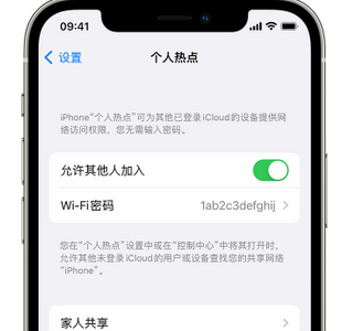 墨脱apple服务站点分享iPhone上个人热点丢失了怎么办