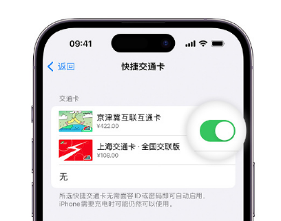 墨脱apple维修点分享iPhone上更换Apple Pay快捷交通卡手绘卡面 