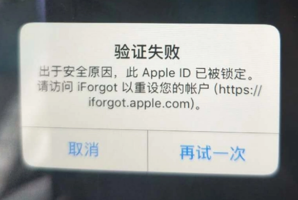 墨脱iPhone维修分享iPhone上正常登录或使用AppleID怎么办 