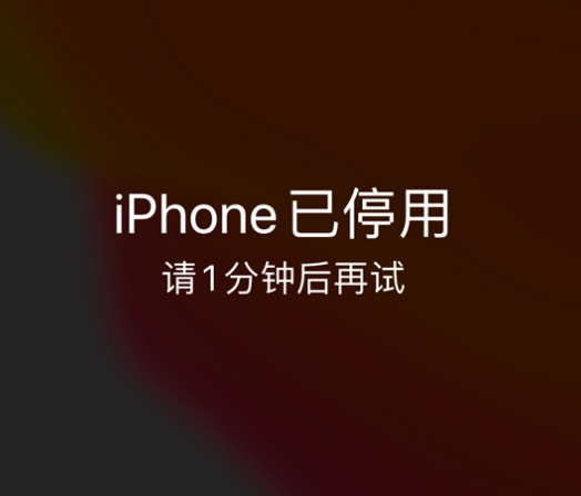 墨脱苹果手机维修分享:iPhone 显示“不可用”或“已停用”怎么办？还能保留数据吗？ 