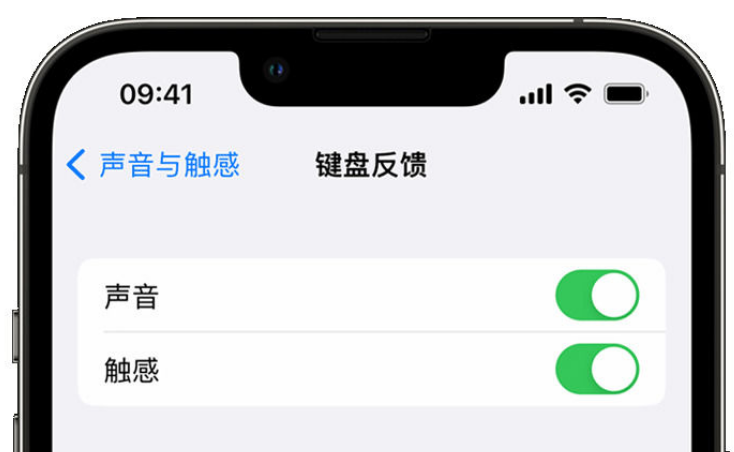 墨脱苹果手机维修分享iPhone 14触感键盘使用方法 