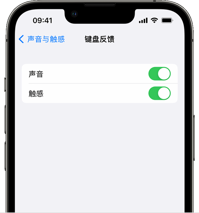 墨脱苹果14维修店分享如何在 iPhone 14 机型中使用触感键盘 