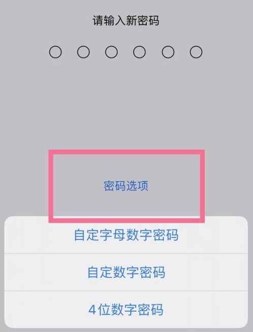 墨脱苹果14维修分享iPhone 14plus设置密码的方法 