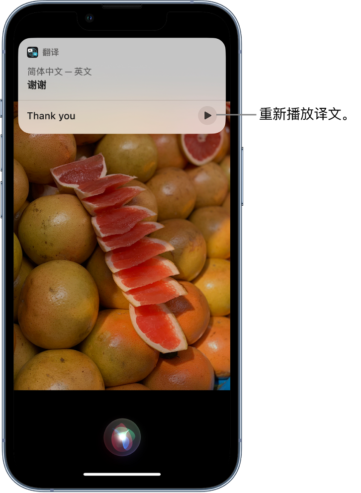 墨脱苹果14维修分享 iPhone 14 机型中使用 Siri：了解 Siri 能帮你做什么 