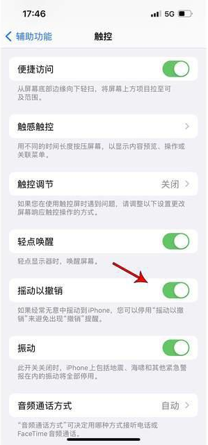 墨脱苹果手机维修分享iPhone手机如何设置摇一摇删除文字 