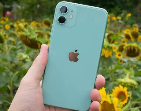 墨脱苹果维修点分享iPhone 11锁屏密码认知与使用科普 